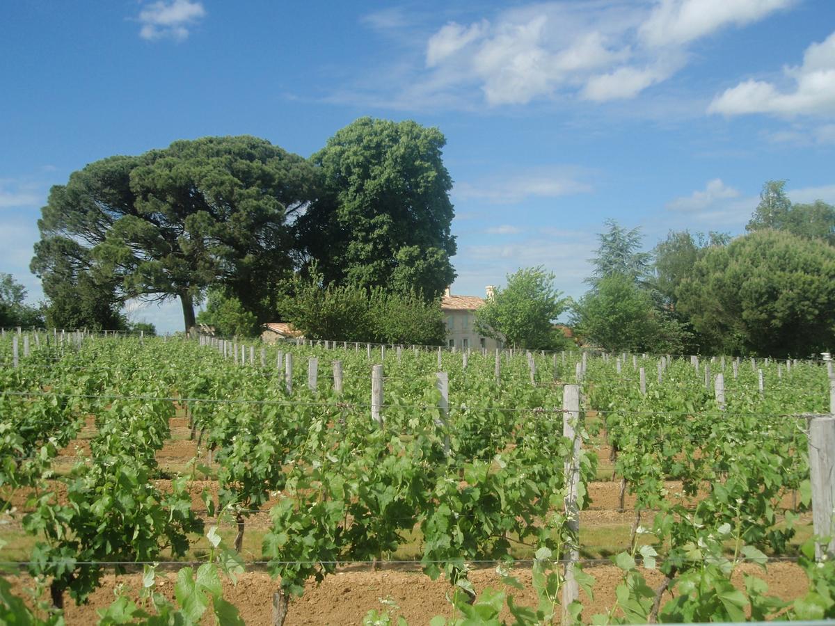 Domaine Mongiron Hotel Nerigean Exterior photo